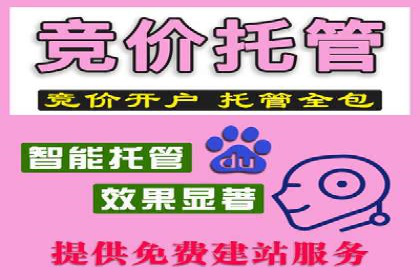 初创企业如何通过网站sem托管快速崛起